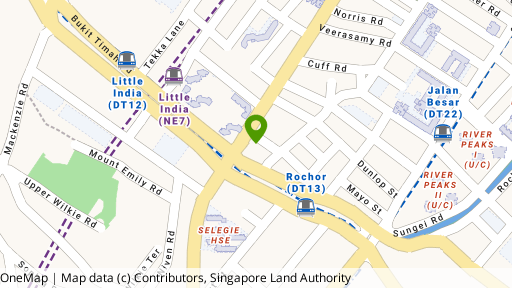 Map showing the location of Citadines Rochor Singapore