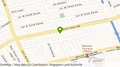 Map showing the location of 343 Telok Kurau Road