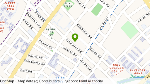 Map showing the location of 171 Syed Alwi Road