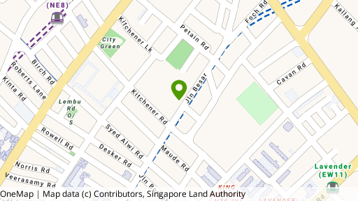 Map showing the location of 255 Jalan Besar