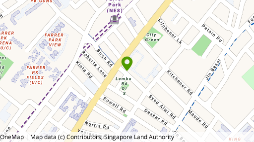 Map showing the location of 137 Syed Alwi Road