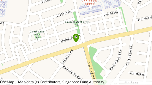 Map showing the location of 281B Macpherson Road