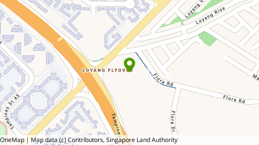 Map showing the location of Azalea Park Condominium